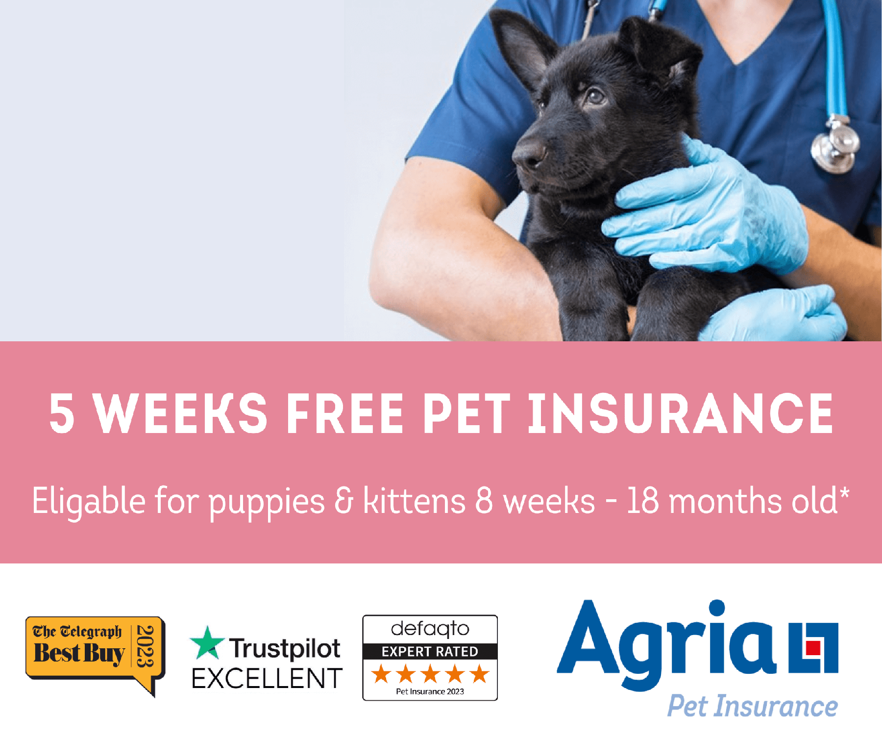 5 weeks free pet insurance