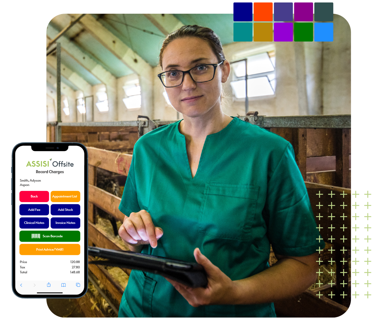 Assisi large animal vet practice software