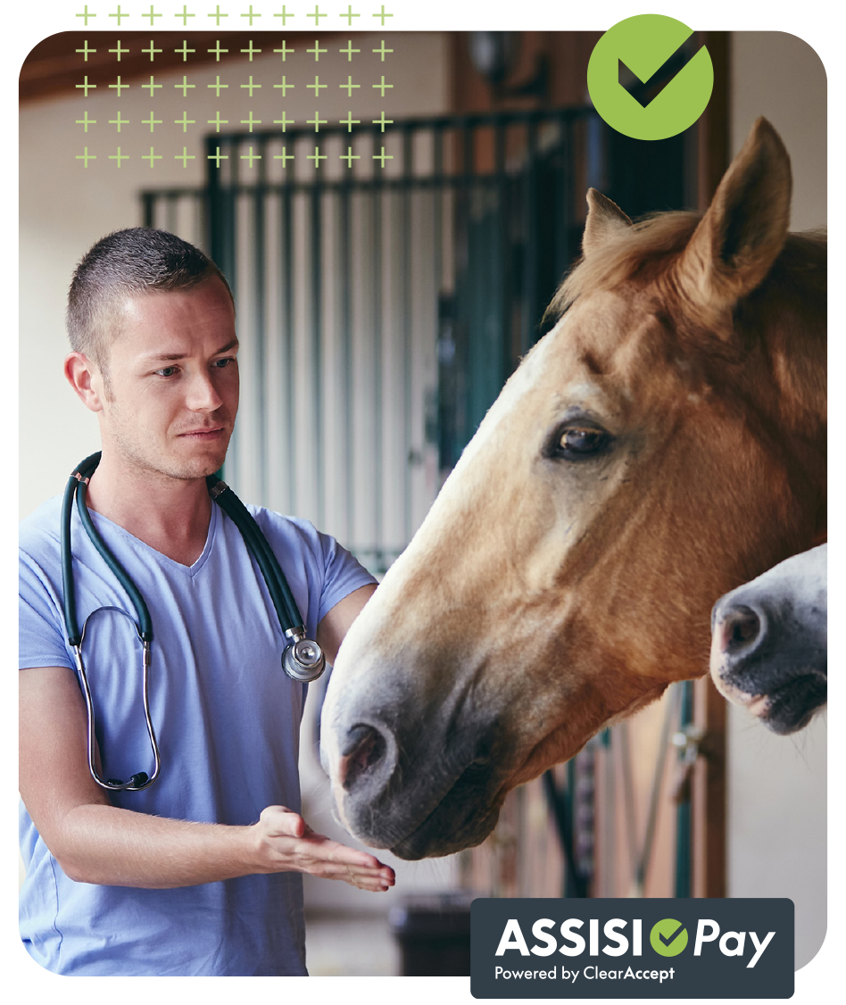 AssisiPay for equine vet practices
