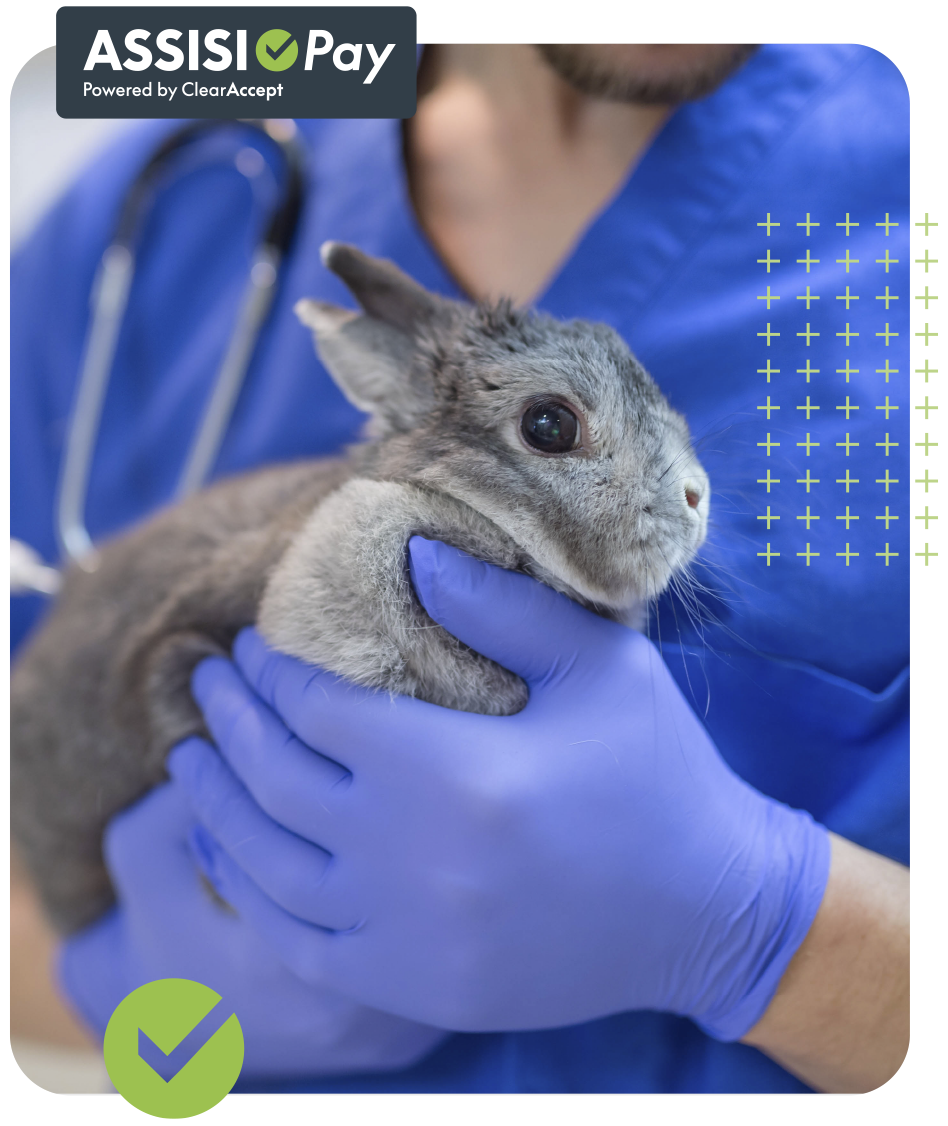AssisiPay for small animal vet practices
