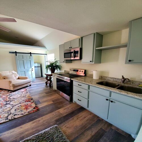 Modern living room and kitchen with pale blue cabinets, hardwood floors, sofa, rug, and plant.