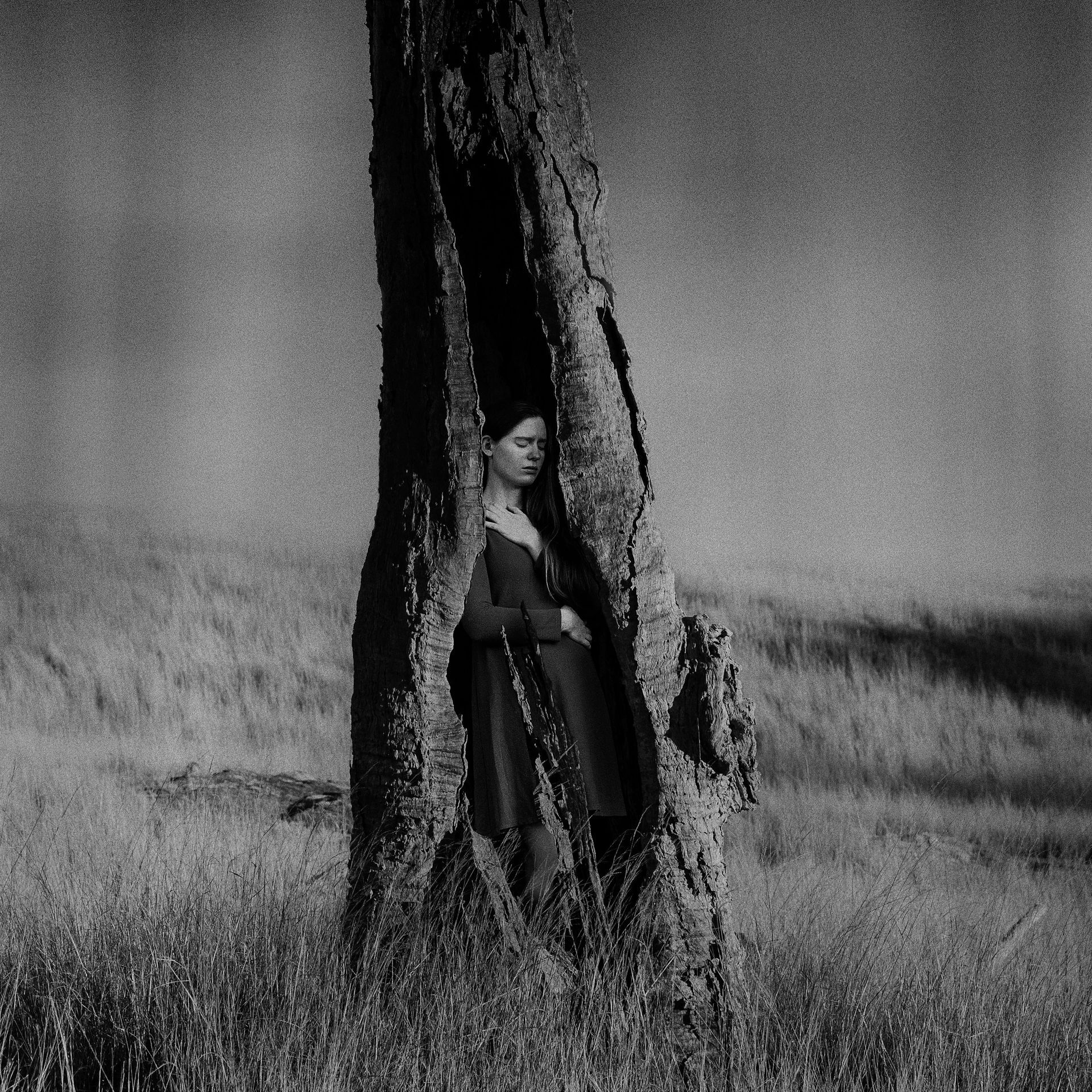 A black and white photo of a woman standing in a tree trunk