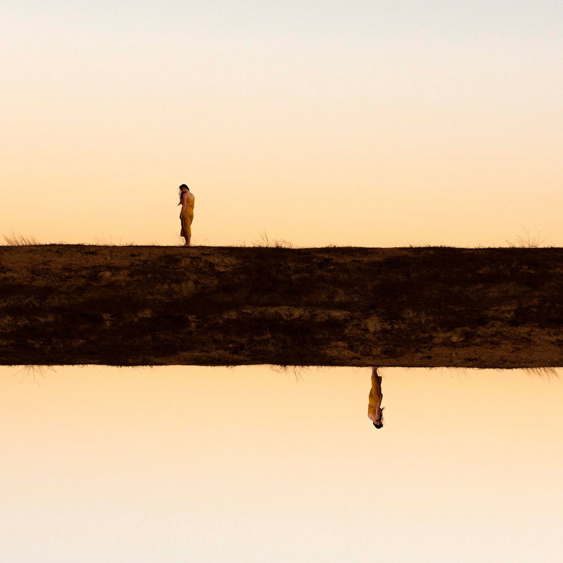 Two birds are perched on a wooden post overlooking a body of water