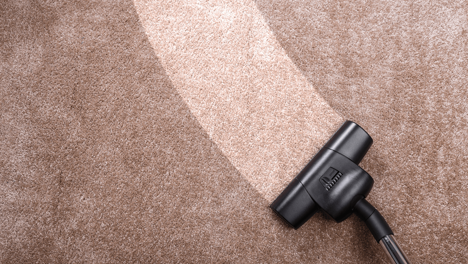 Carpet Cleaning Company Steam Clean Des Peres Des Peres MO