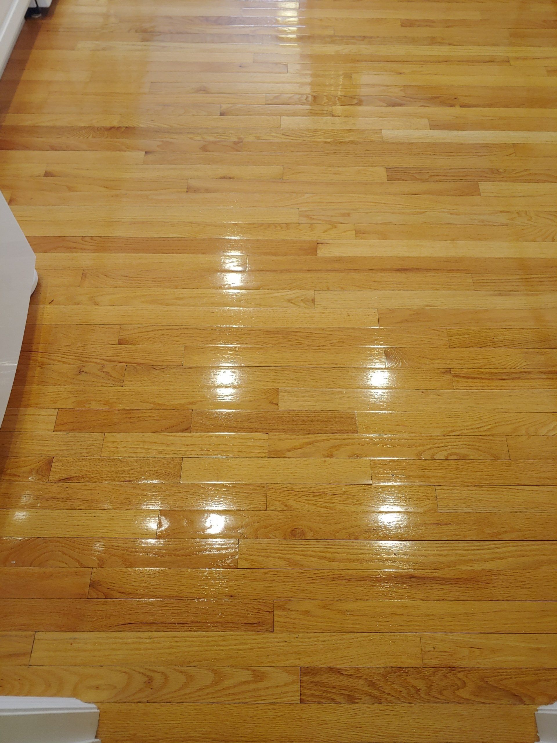 Hardwood Floor Cleaning Sealing St Louis St Charles Belleville