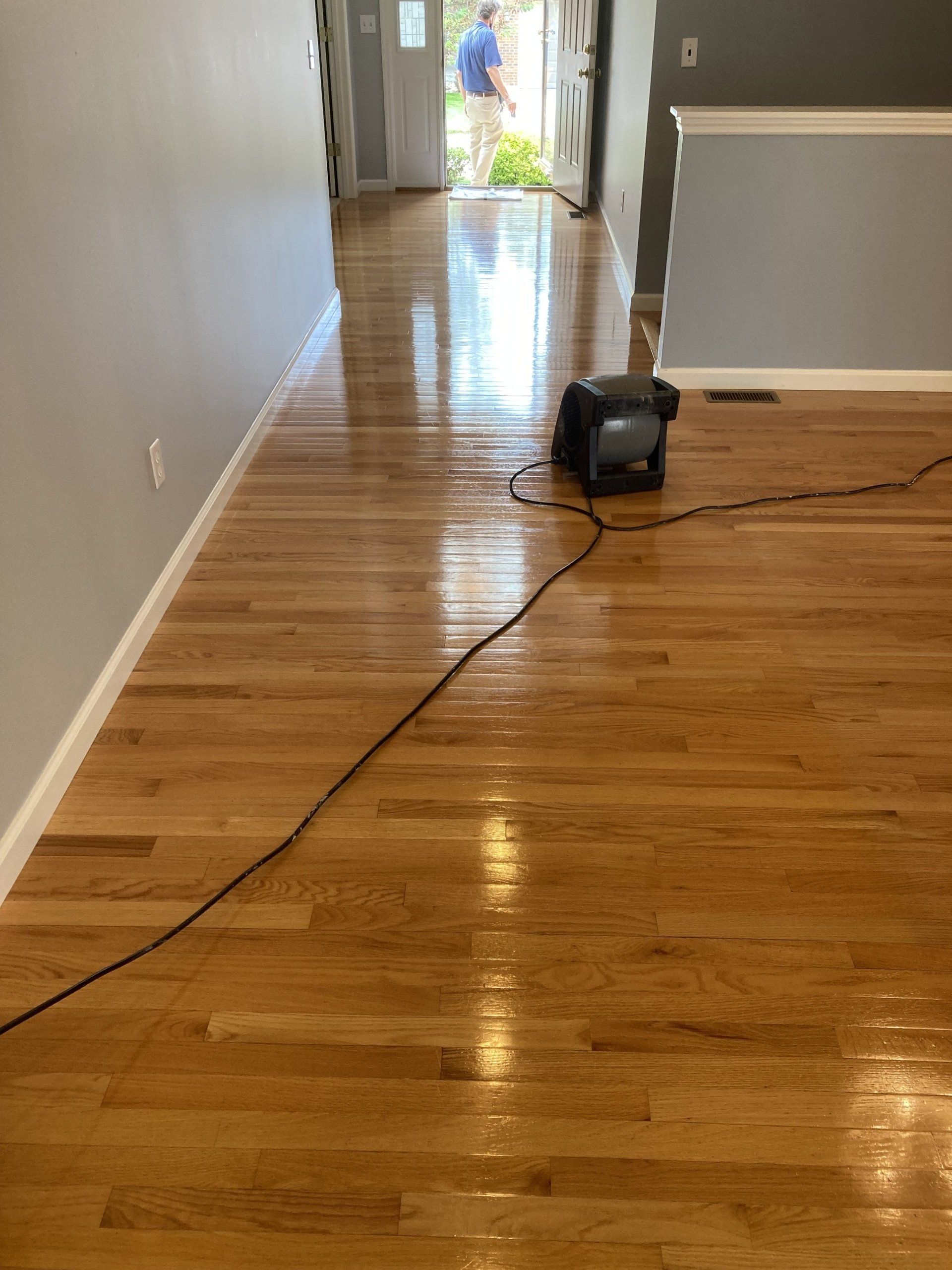 Hardwood Floor Cleaning Sealing St Louis St Charles Belleville