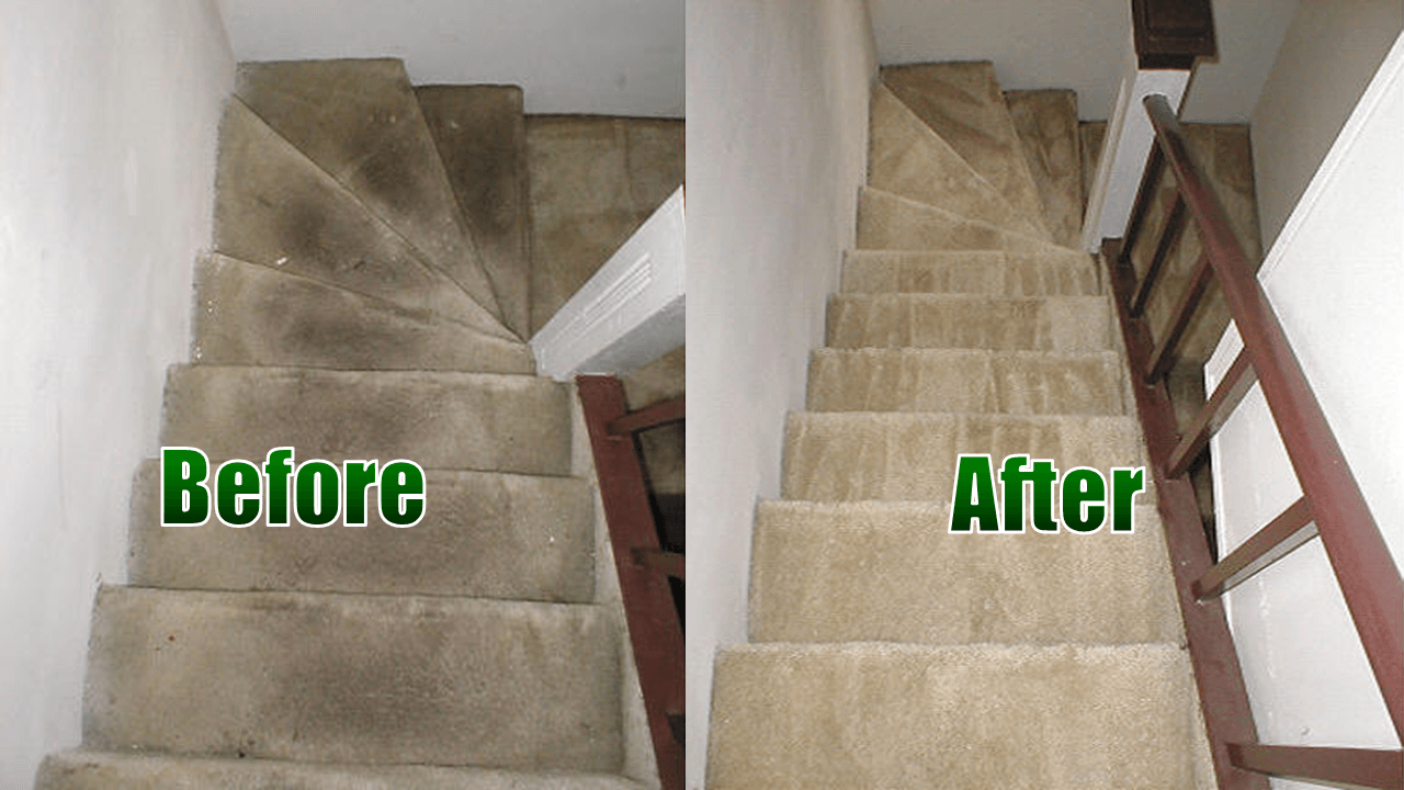 Gallery Top 10 Carpet Cleaning Services St Louis MO
