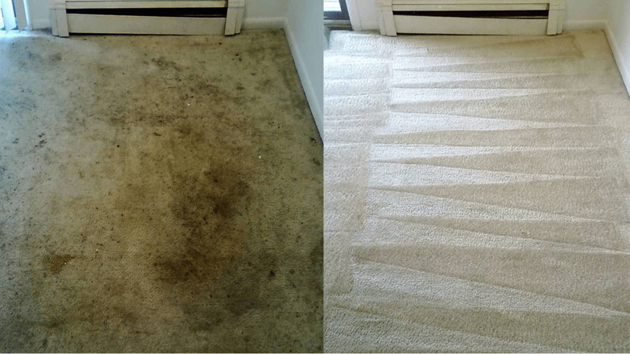 Carpet Cleaning Blogs Steam Cleaning Information Company St. Louis St. Charles Belleville