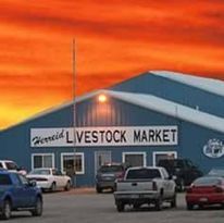 A livestock market with cars parked in front of it at sunset.