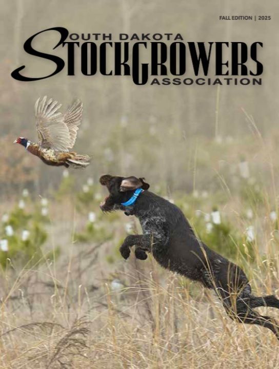 A dog leaping to catch a pheasant in a field; South Dakota Stockgrowers Association magazine cover.