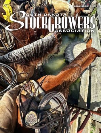 Horses pictured on the cover of the south dakota stockgrowers association magazine