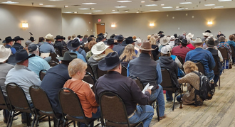 A large group of people are sitting in chairs in a room wearing cowboy hats.