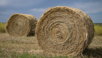 Three bales of hay are sitting in a field.