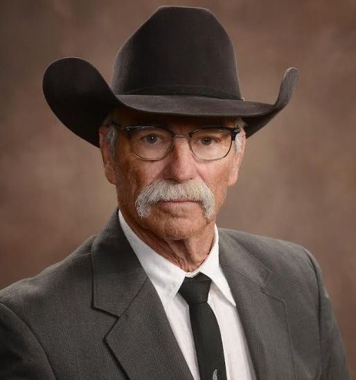 A man in a suit and tie is wearing a cowboy hat.