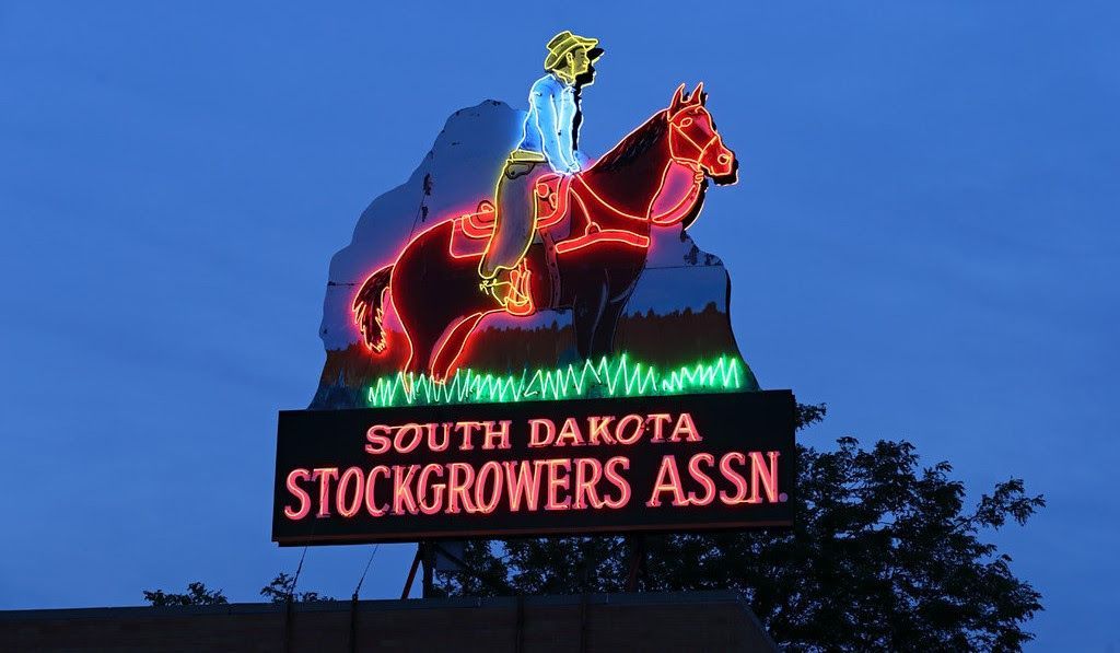 Neon Stockgrowers sign with cowboy on horse, reading “South Dakota Stockgrowers Assn” against a dusk sky