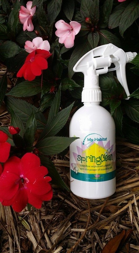 White Spray Bottle Labelled Spring Clean — My Habitat Products in Cooktown, QLD