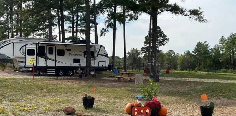 A rv is parked in a field with pumpkins and cactus.