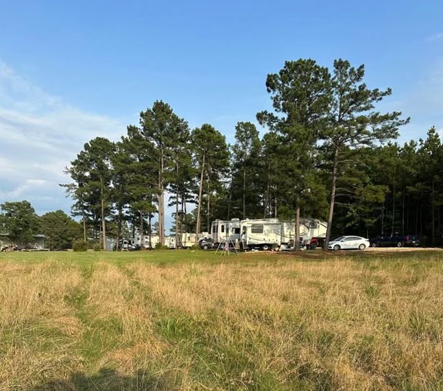 A row of rvs are parked in a grassy field surrounded by trees.