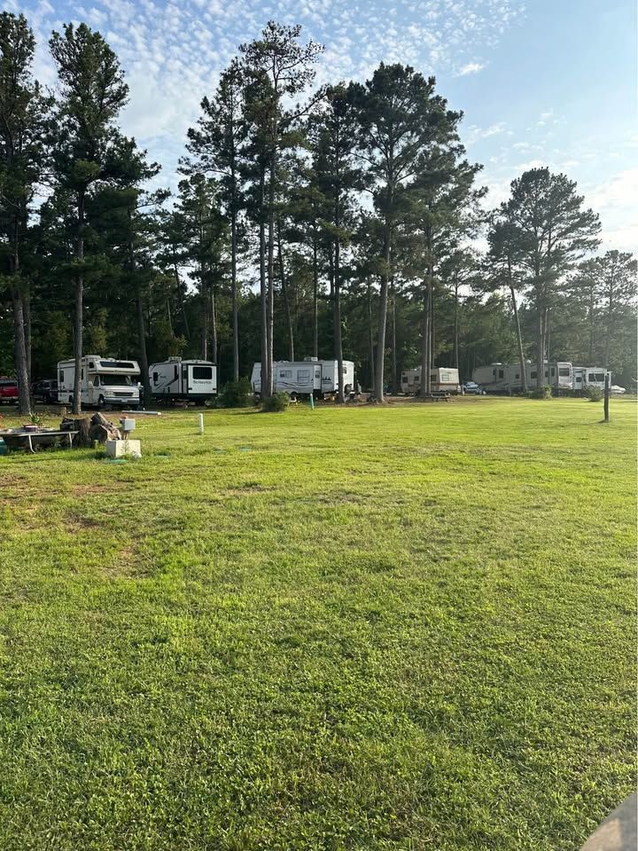 A field with a lot of rvs parked in it and trees in the background.