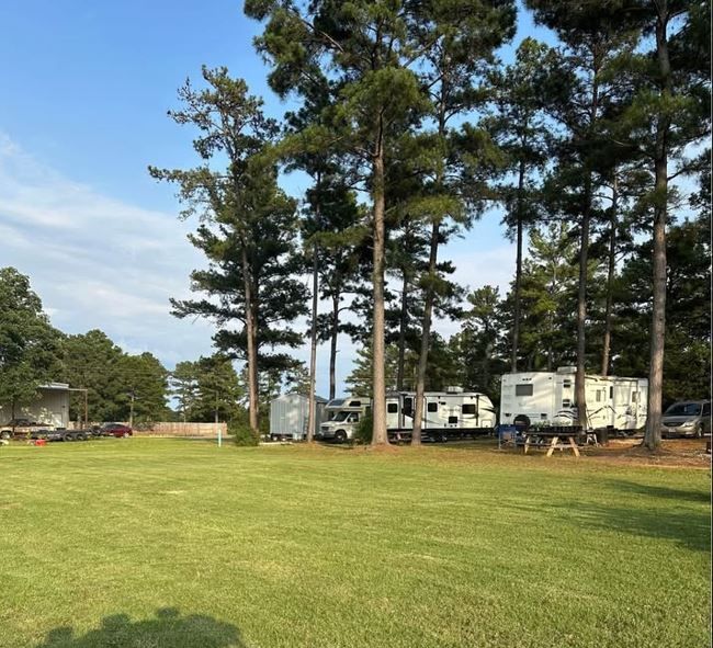 A rv parked in a grassy field with trees in the background