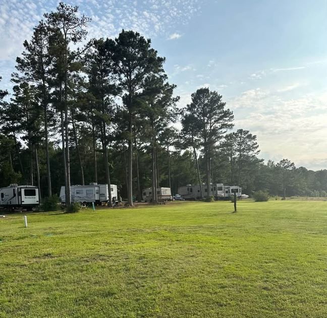 A row of rvs parked in a grassy field with trees in the background