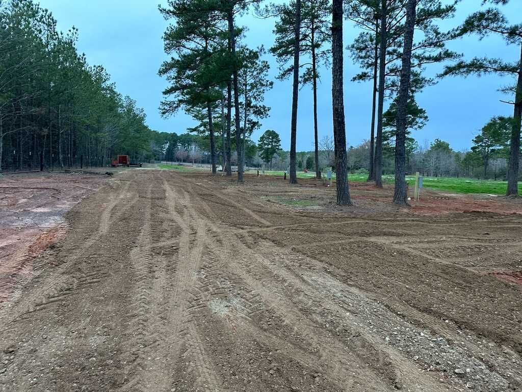 A dirt road going through a forest with trees on both sides