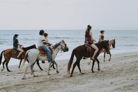 Gruppo di persone che va a cavallo sulla spiaggia