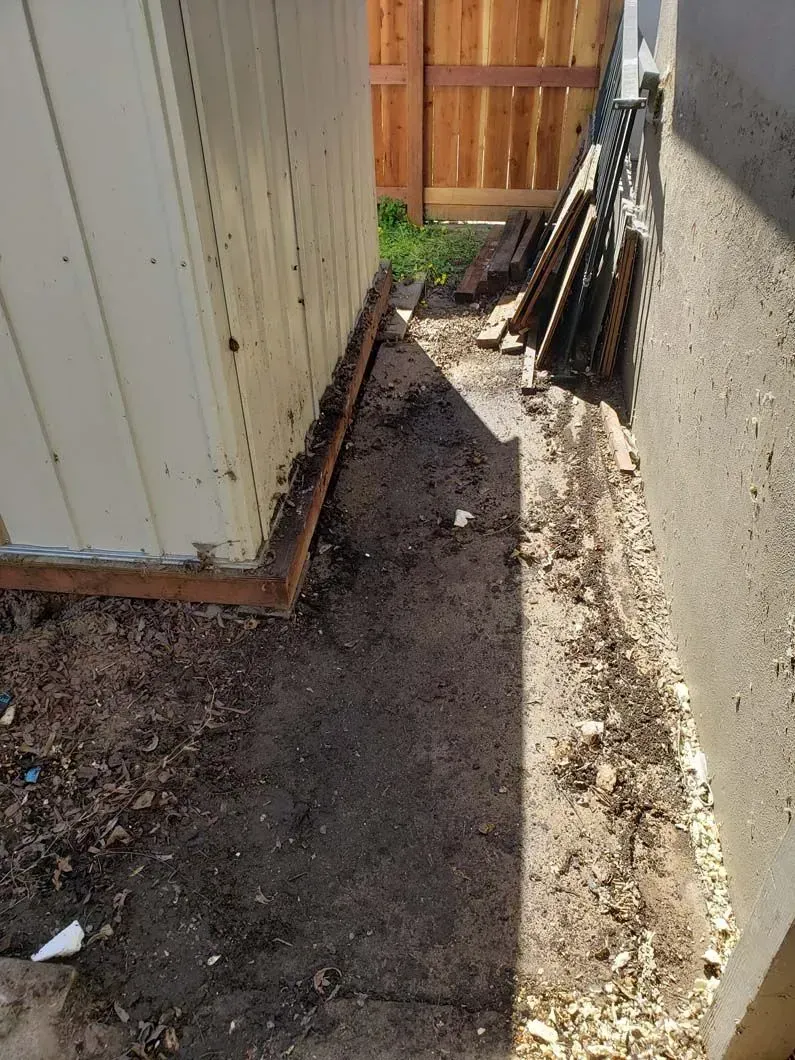 A white shed is sitting next to a wooden fence.