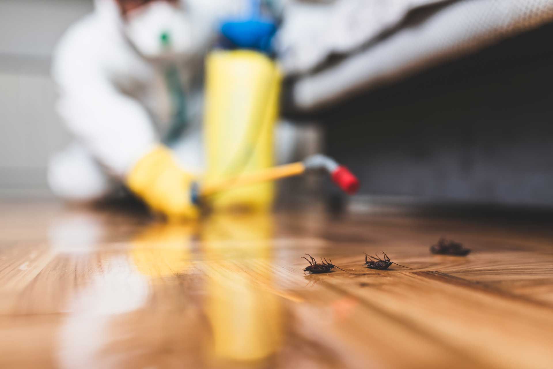 Exterminator in protective suit sprays insecticide on floor with dead cockroaches.