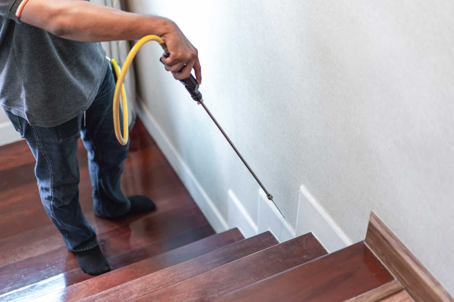 Person spraying insecticide along a staircase baseboard. Person spraying insecticide along a staircase baseboard.