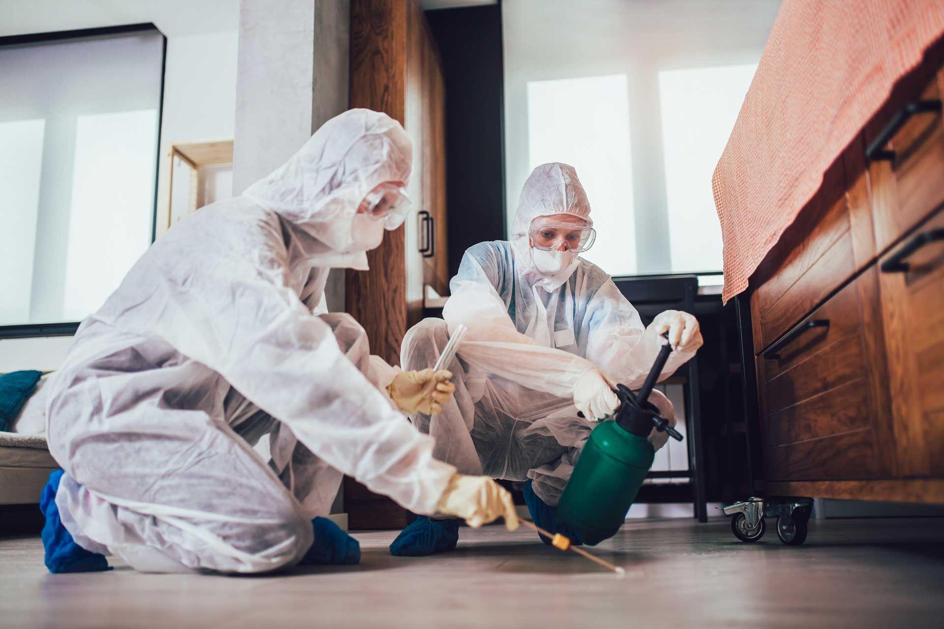 Two people in protective suits spraying insecticide inside a home.