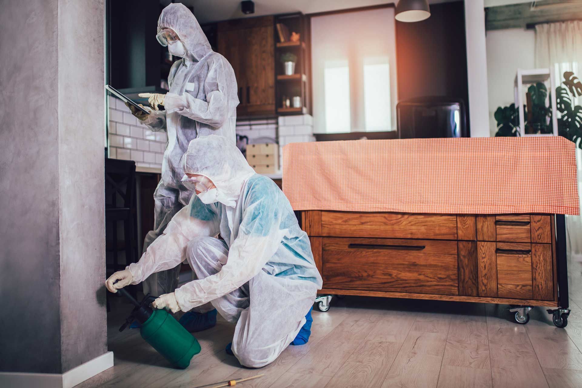 Two people in protective suits spraying insecticide in a kitchen.