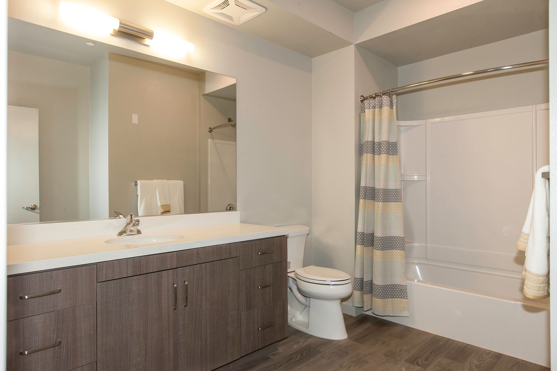 bathroom and toilet and shower