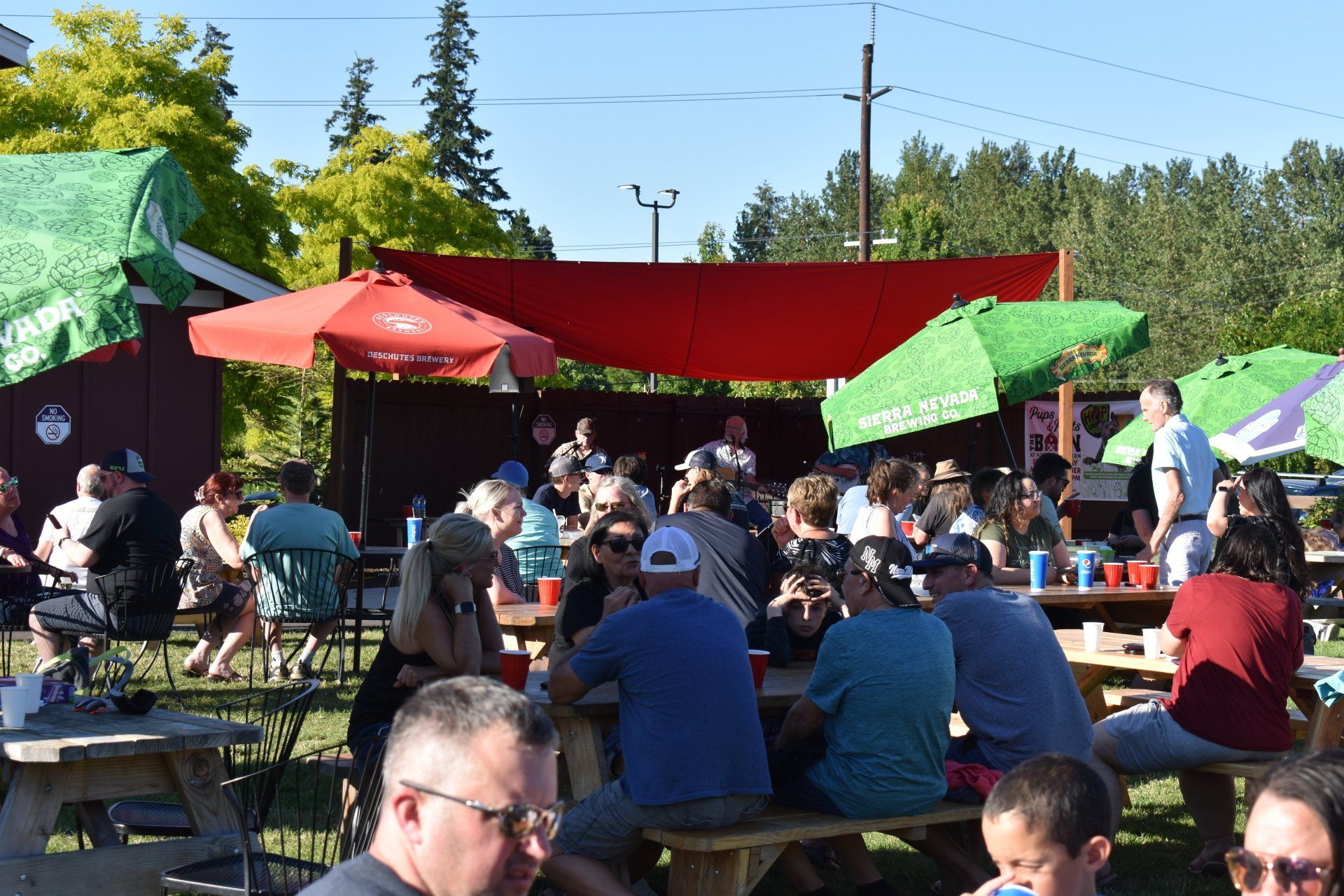 Fun things to do with the family in Albany