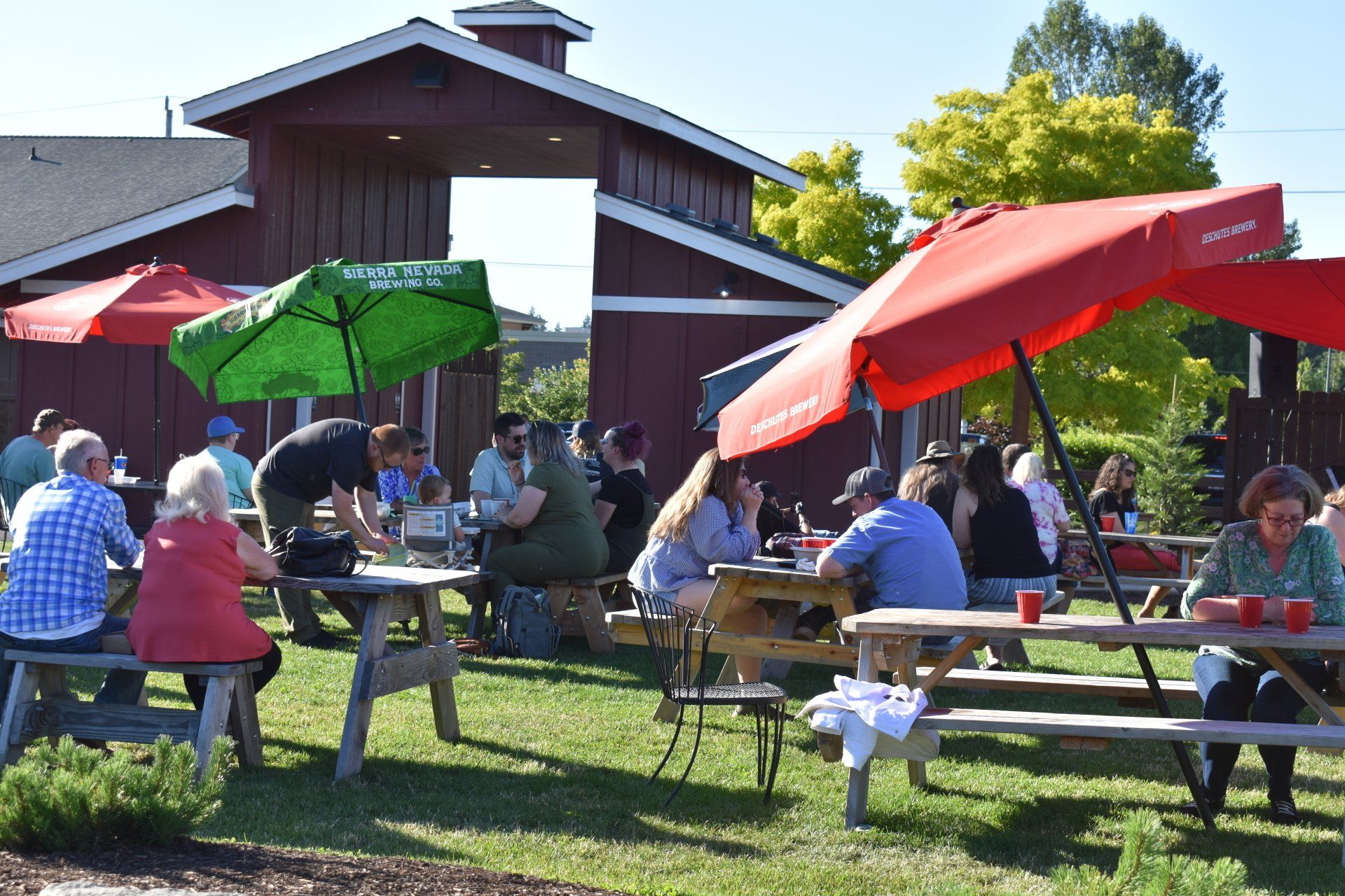 Fun things to do in Albany