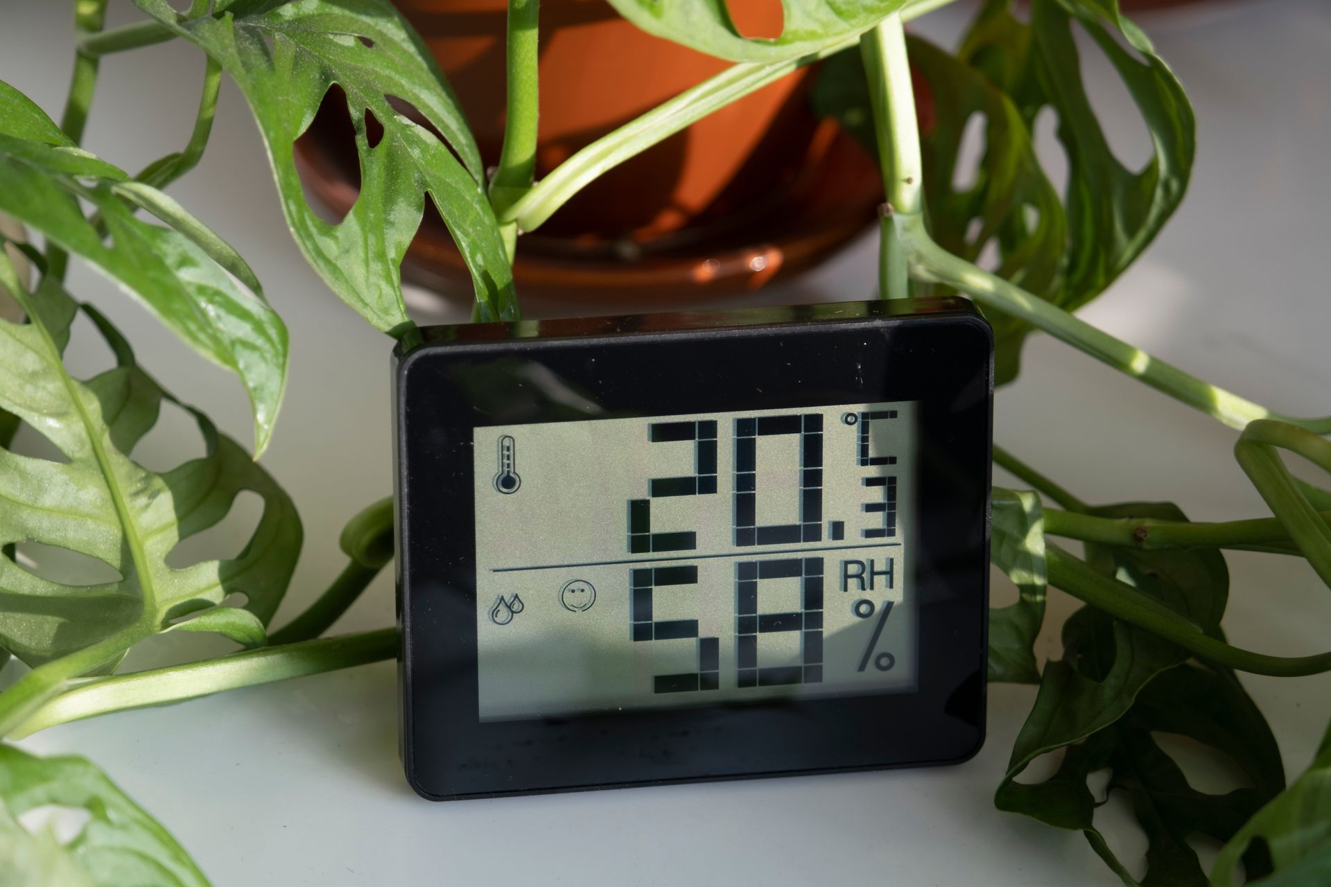A black digital thermometer and hygrometer showing 20.3°C and 58% humidity, nestled in front of a green leafy houseplant.