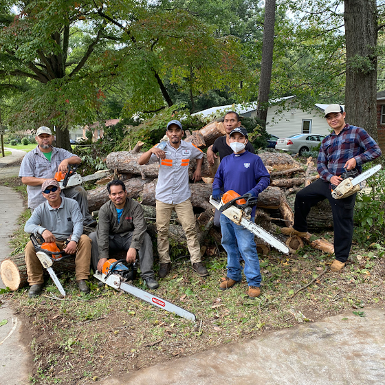 B.N.C Tree Service Charlotte, NC Area Tree Trimming & Removal