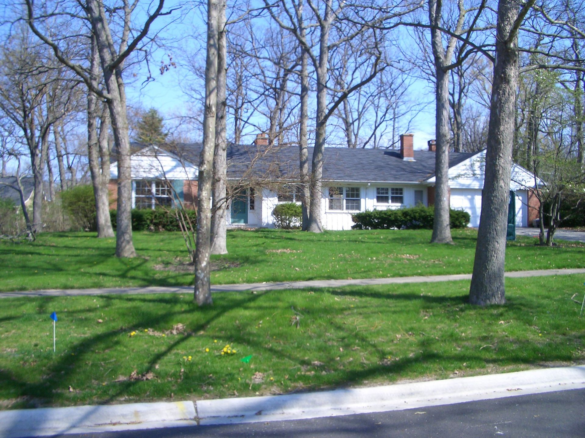 A house with a lot of trees in front of it