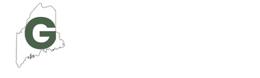 SPARK professional management logo