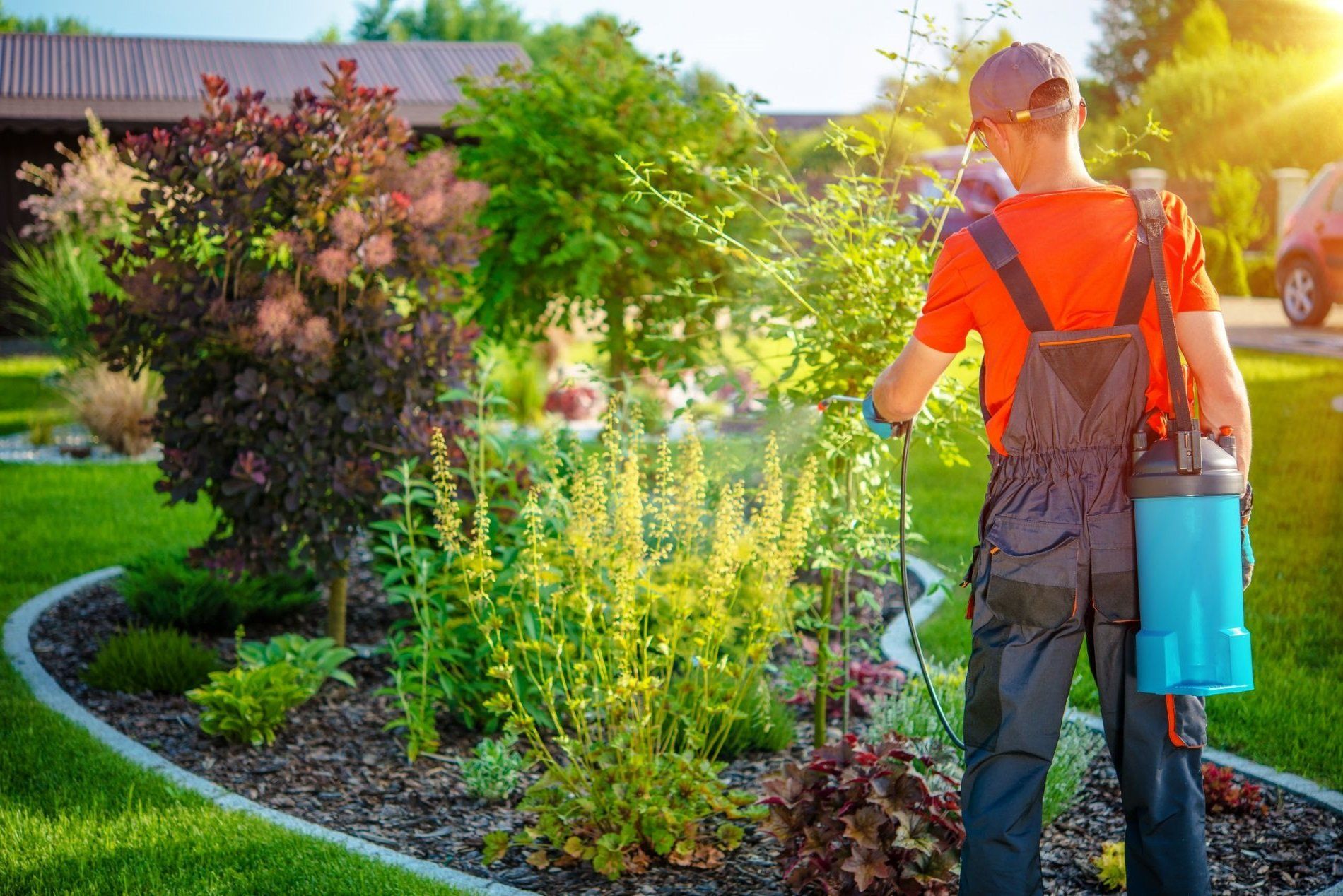 intervento di disinfestazione