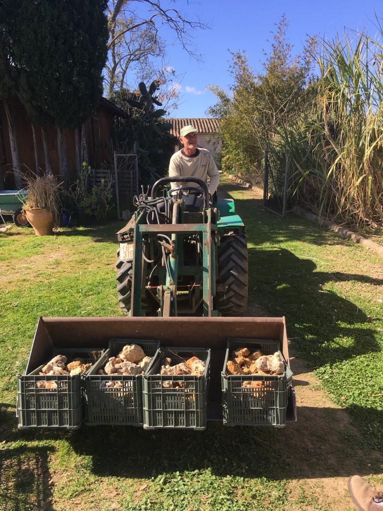 Son Barrina S.L. Finca