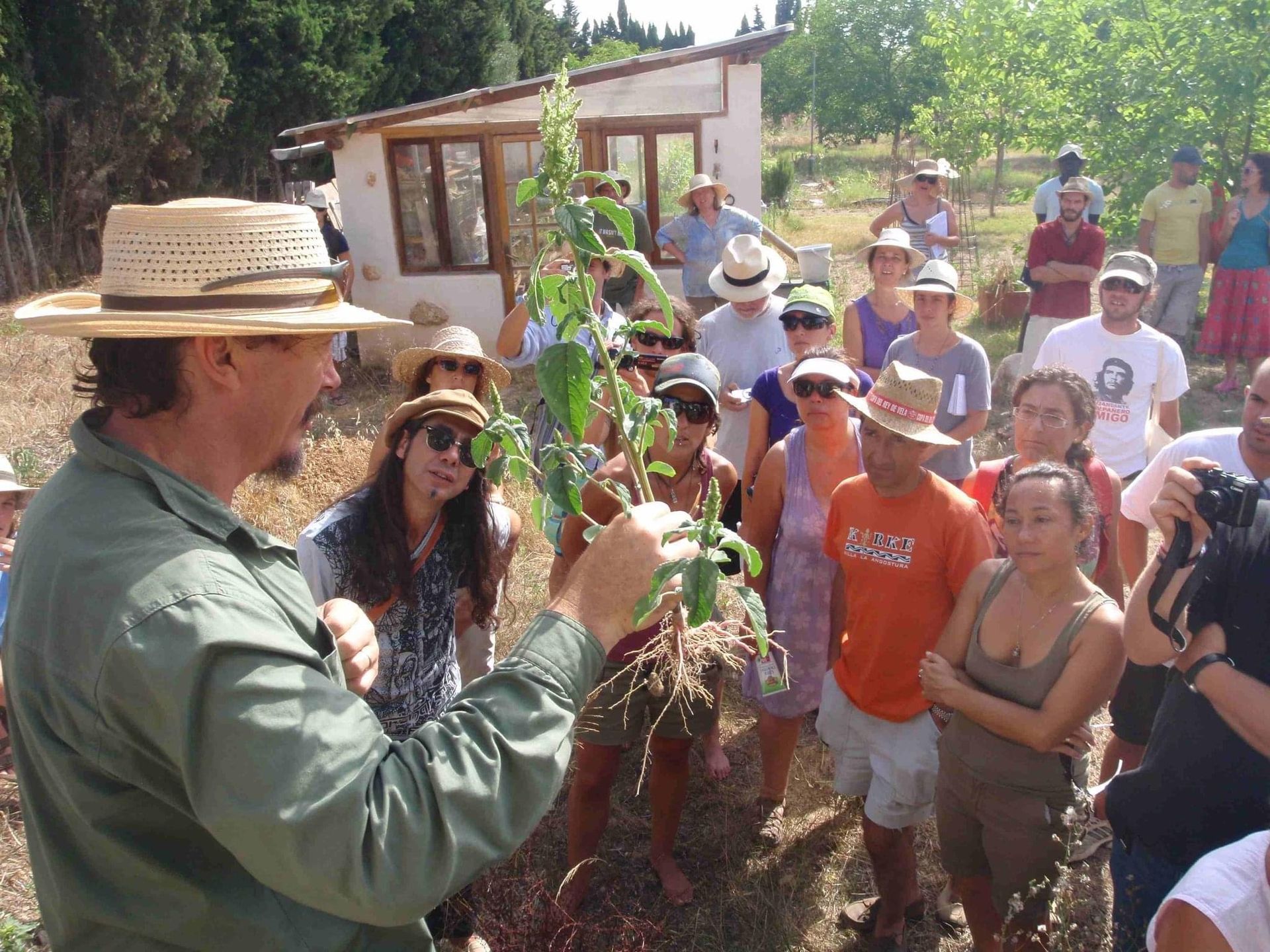 Son Barrina S.L. Finca