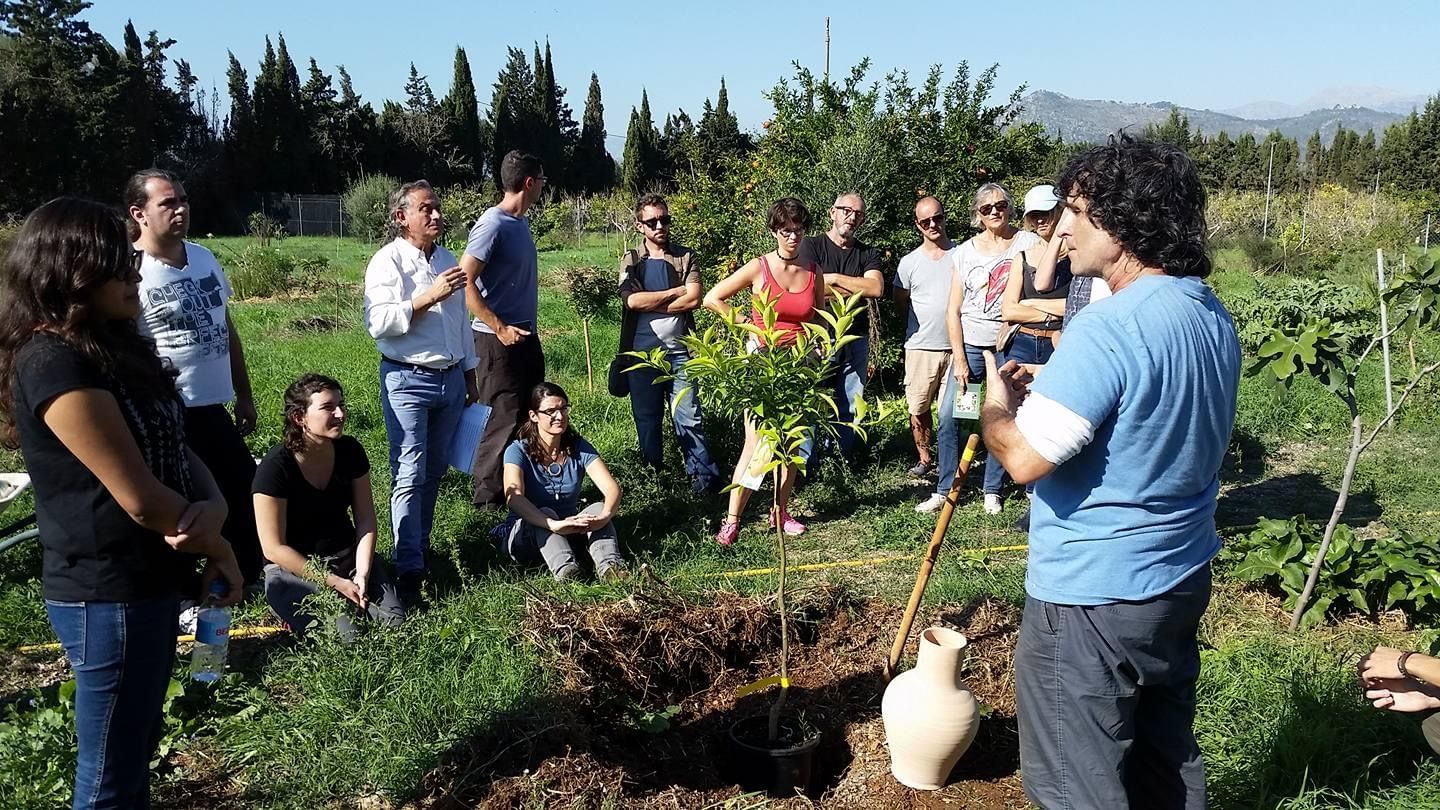 Son Barrina S.L. Finca