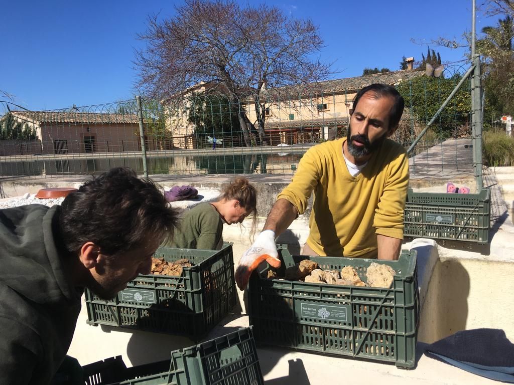 Son Barrina S.L. Finca