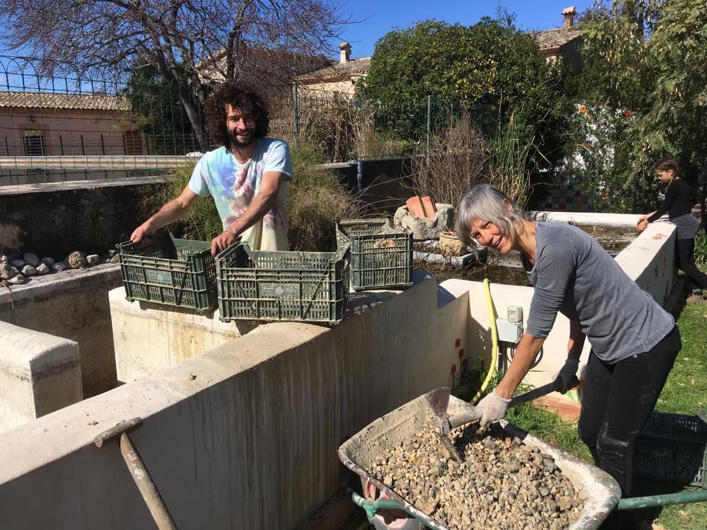 Son Barrina S.L. Finca