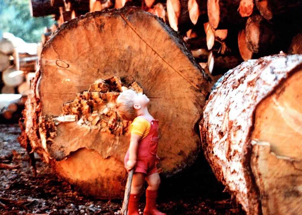 Maltaholz, Geschichte, Über uns, Bernhard Genser