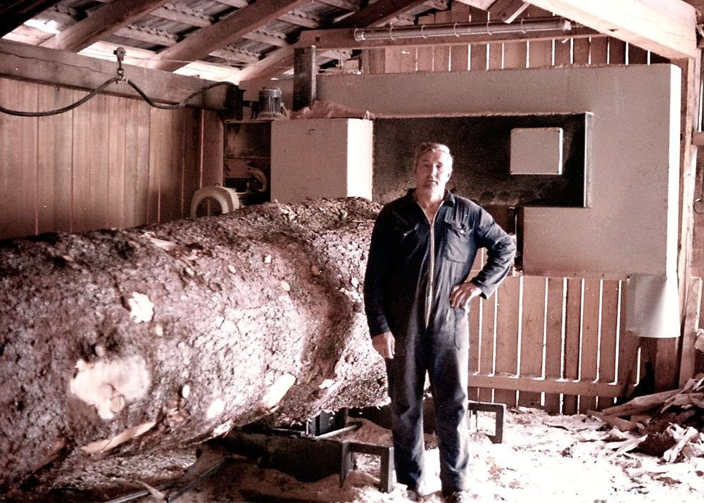 Maltaholz, Geschichte, Über uns, Bandsäge