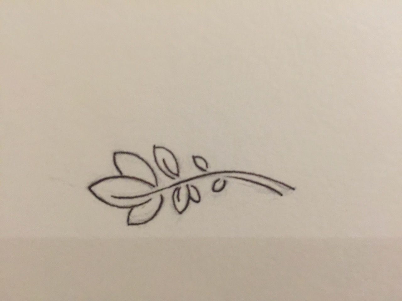 harlan logo sketches