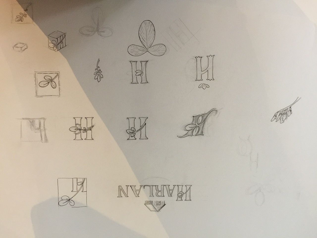 harlan logo sketches