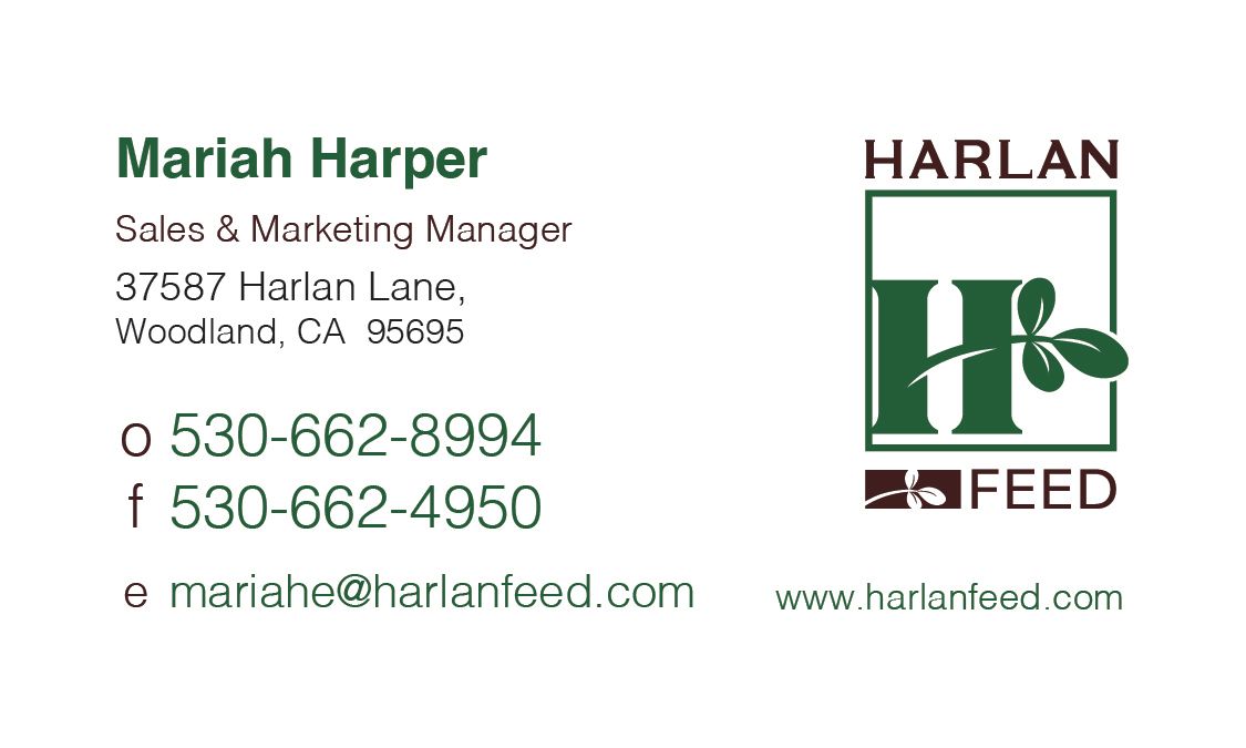 harlan business card design
